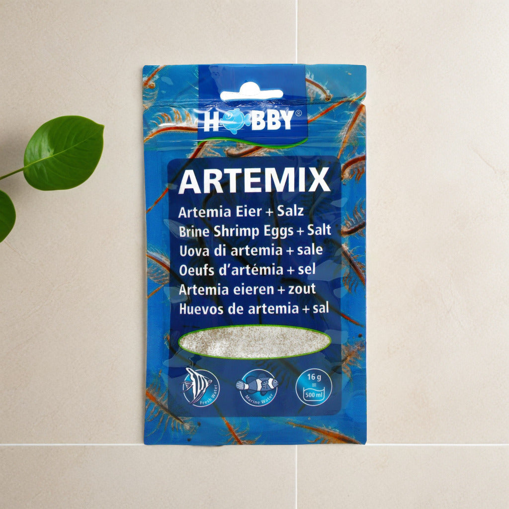 Artemsia Active