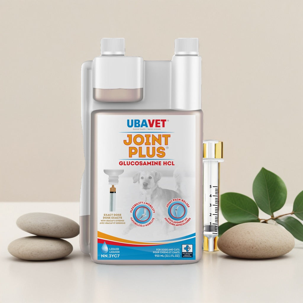 Joint Plus